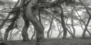 추천갤러리 - 공주 곰나루