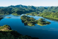 추천갤러리 - 붕어섬