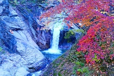 추천갤러리 - 용소폭포