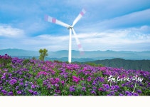 추천갤러리 - 감악산