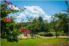 추천갤러리 - 광교 호수공원