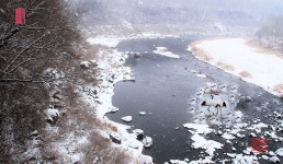 추천갤러리 - 한탄강