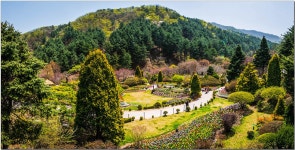 추천갤러리 - 아침고요 수목원