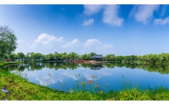 추천갤러리 - 궁남지