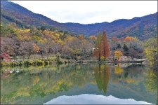 추천갤러리 - [D5]가을 송곡지