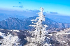 추천갤러리 - 함백산