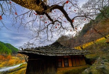 추천갤러리 - 너와집