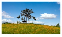 추천갤러리 - 마을 쉼터