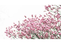 추천갤러리 - 아름다움에 취하다..