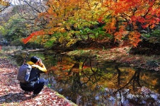 추천갤러리 - 도솔천의 사진가