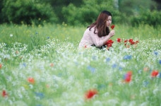 추천갤러리 - 꽃 향기