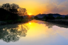 추천갤러리 - 아침햇살