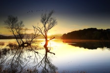 추천갤러리 - 동판 저수지의 아침