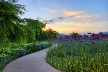 추천갤러리 - 수국길