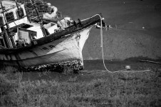 추천갤러리 - 소래포구