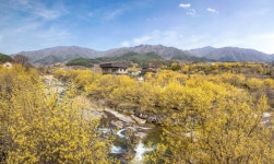 추천갤러리 - 산동마을