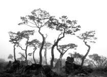 추천갤러리 - 소소한 풍경...