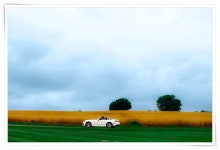 추천갤러리 - 들판속 하얀 자동차