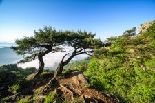 추천갤러리 - 대둔산 형제송