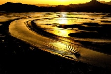 추천갤러리 - 순천만