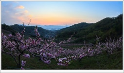 추천갤러리 - 석양의 복사골