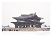 추천갤러리 - 경북궁에서