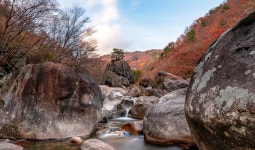 추천갤러리 - 지리산 화개천의 가을풍경