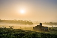 추천갤러리 - 안성 목장