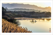 추천갤러리 - 우포 번출-2
