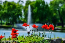 추천갤러리 - 궁남지~2