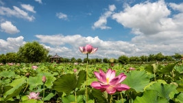 추천갤러리 - 삼락생태공원
