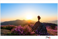 추천갤러리 - 초암산의 아침