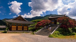 추천갤러리 - 표충사