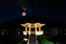 추천갤러리 - Super moon