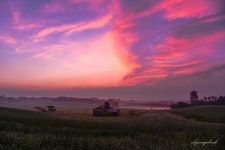 추천갤러리 - 안성목장