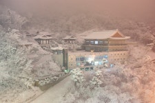 추천갤러리 - 청련사..