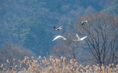 추천갤러리 - 경안천