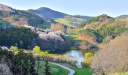 추천갤러리 - 서산목장