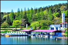 추천갤러리 - 은파유원지