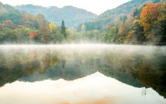 추천갤러리 - 세량제의봄과가을