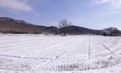 추천갤러리 -  農村 雪景  추천갤러리 - &quot; 農村 雪景 &quot;