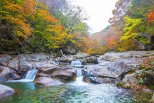 추천갤러리 - 지리산 뱀사골