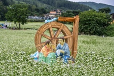 추천갤러리 - 봉평입니다...