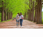 추천갤러리 - 메타길