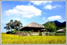 추천갤러리 - 초가 삼간