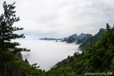 추천갤러리 - 산위의 호수