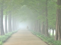추천갤러리 - 메타길