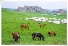 추천갤러리 - 초원의 아침