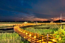 추천갤러리 - 다대 생태공원 야경!