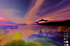 추천갤러리 - 빛의하모니~~~